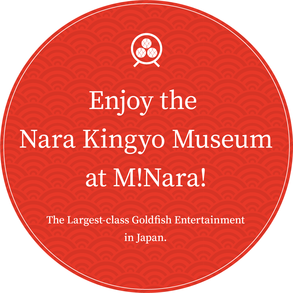 Enjoy the Nara Kingyo Museum at M!Nara!